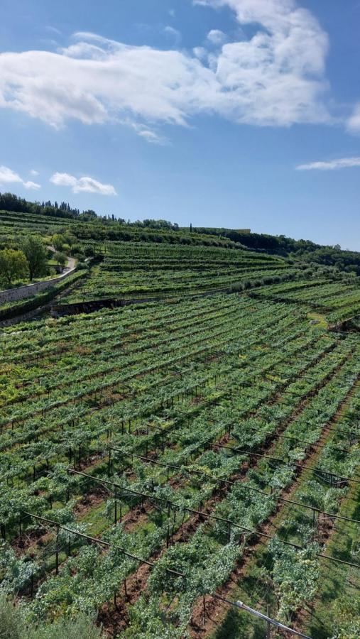 Azienda Agrituristica Corteforte Fumane Extérieur photo